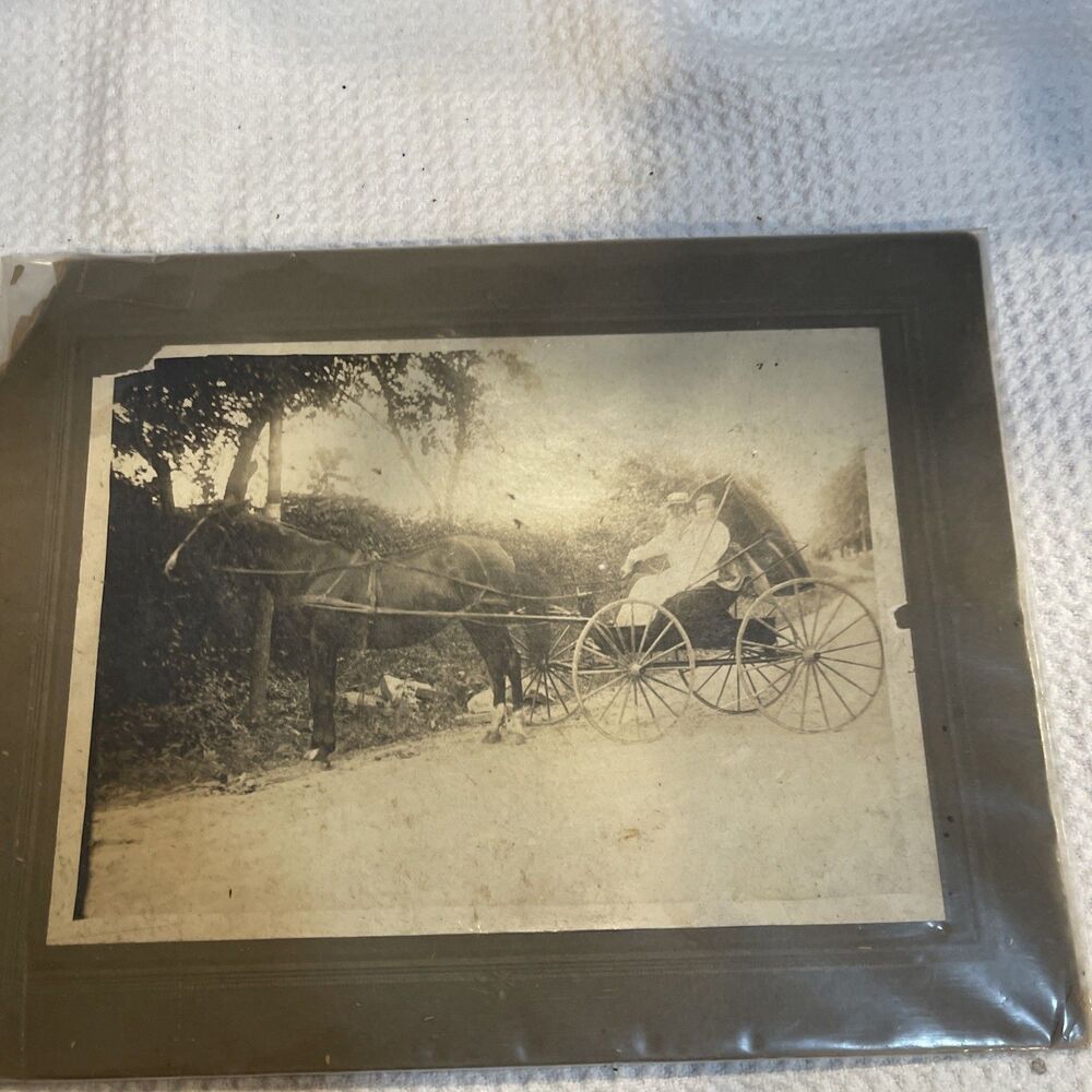 1890 Cabinet Photo of 2 people in a Horse Drawn Carriage, Cindy